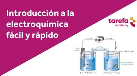 Summary of Qué son los ELECTRODOS Funcionamiento tipos y cuidados