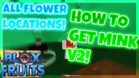 How To Get Mink V2 Tutorial Blox Fruits YouTube