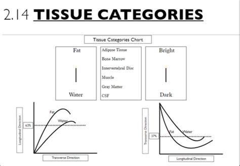 Tissue Characteristics Mri Flashcards Quizlet