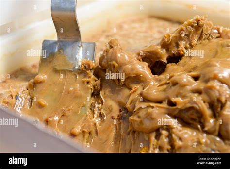 Uterine Hi Res Stock Photography And Images Alamy