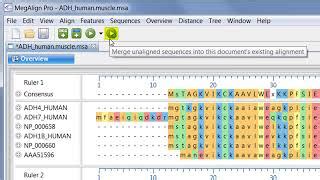 Pairwise Sequence Alignment