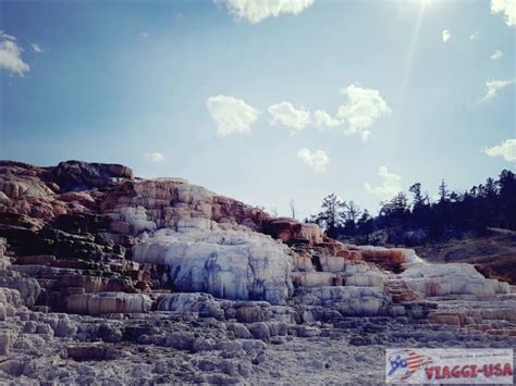 Mammoth Hot Springs Come Visitare Le Terrazze Di Travertino A Yellowstone