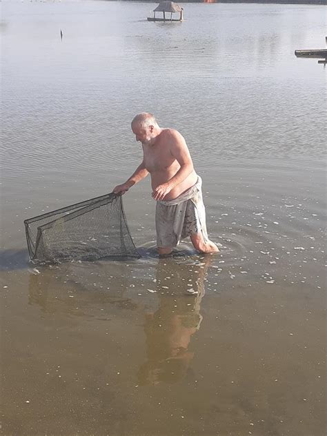 “operation Carp Lift” Sandown Canoe Lake Blue Seas Protection