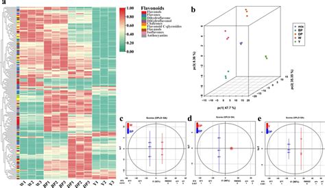 Heat Map Visualization And Principal Component Analysis PCA With