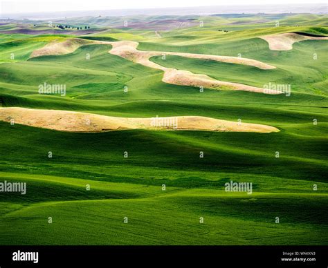 USA, Washington State. Aerial of Palouse Region Stock Photo - Alamy