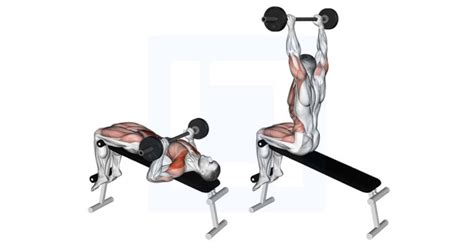 Dumbbell Seated Shoulder Press - Guide, Benefits, and Form