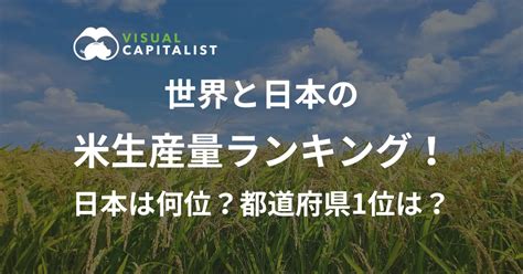 米の生産量ランキング 日本の順位と都道府県トップ10を紹介 Nobuchom