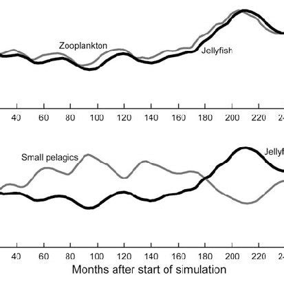 (PDF) Jellyfish Blooms: Causes, Consequences, and Recent Advances