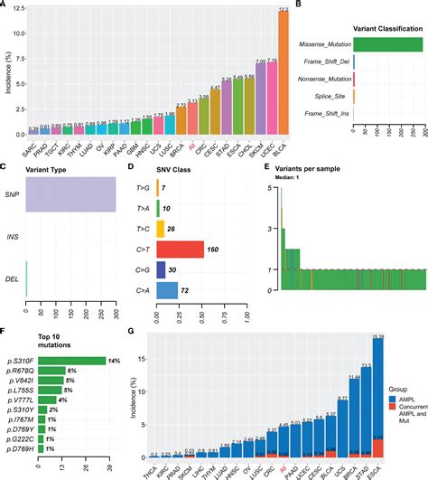 Frontiers Associations Of HER2 Mutation With Immune Related Features