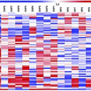 Heat Map Of Hierarchical Cluster Analysis For DEGs Between SNP Mares