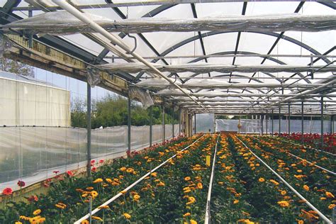 Greenhouse Insulation Here S What You Need To Know To Operate Your Greenhouse In Winter Growspan