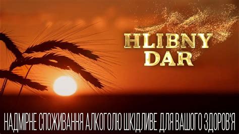 ХЛІБНИЙ ДАР - YouTube