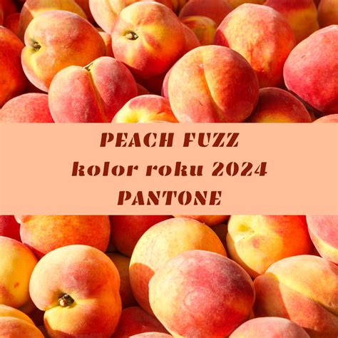 Peach Fuzz Kolor roku 2024 według Pantone Lexa Design