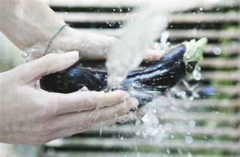 How To Cook Aubergines