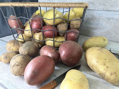 Vrij Vastkokende Aardappelen Lekker Tafelen