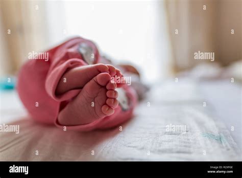 Baby Feet On White Background Stock Photo Alamy