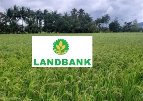 Landbank Loans To Agriculture At P B In St Months Of Gma