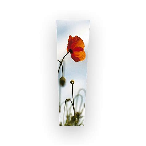 Mohn Arcum