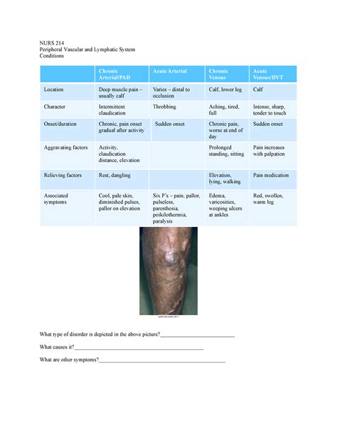 Nurs Peripheral And Lympathic System Conditions Nurs