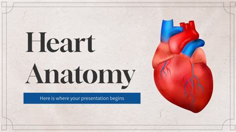 Heart Anatomy | Google Slides & PowerPoint template