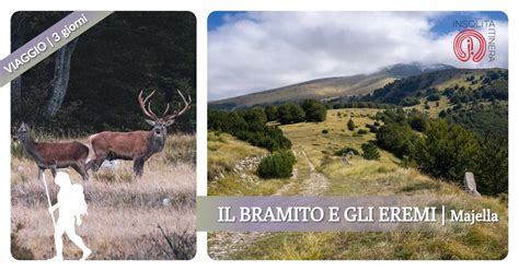 IL BRAMITO E GLI EREMI Trekking Naturalistico Nel Parco Nazionale