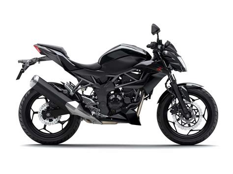 Kawasaki Z250SL Motos Naked A2 Precio Opiniones