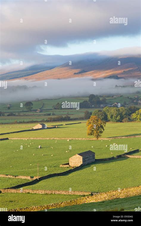 Dawn Over Wensleydale Yorkshire Dales National Park North Yorkshire