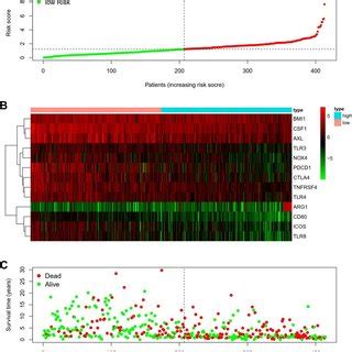 Risk Score Distribution Of The Gene Signature Of Patients Among OS