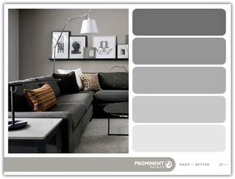 Shades Of Grey With Prominent Paints Inspired Living Sa