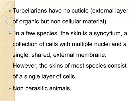 Platyhelminthes PPT