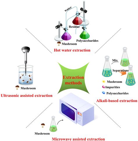 Frontiers Polysaccharides From Russula A Review On Extraction