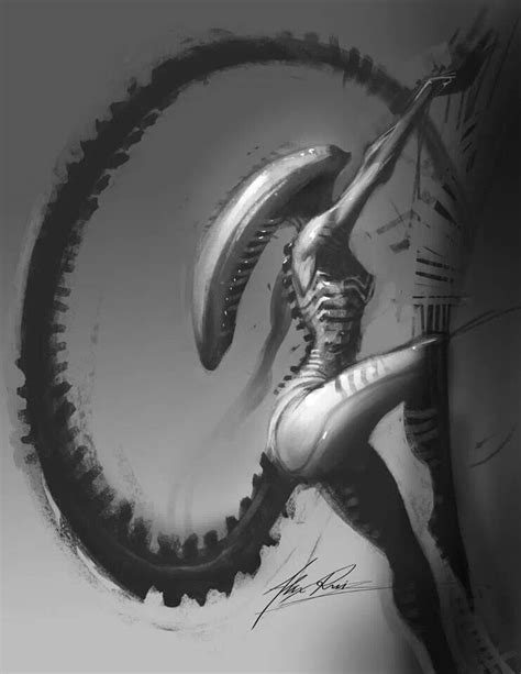 Th Century Studios Home Predator Alien Art Alien Artwork Xenomorph