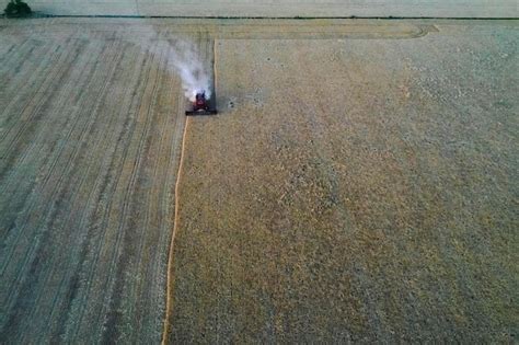 Premium Photo Wheat Harvest In The Argentine Countryside La Pampa