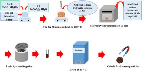 Schematic Of Cobalt Ferrite Nanoparticle Synthesis Steps Download