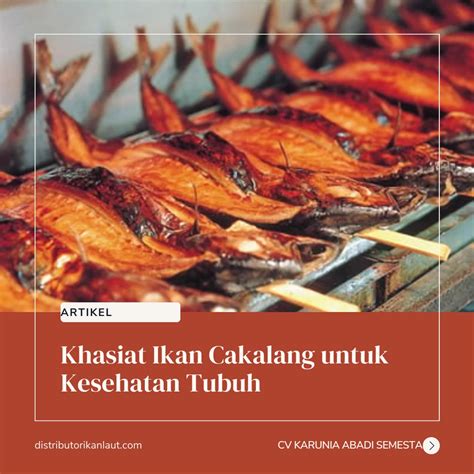 Mengenal Ikan Cakalang Ciri Ciri Habitat Dan Manfaatnya