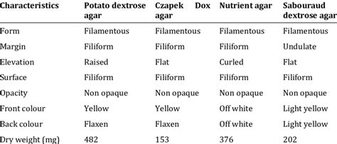 Colony morphology of the fungal strain on different media | Download ...