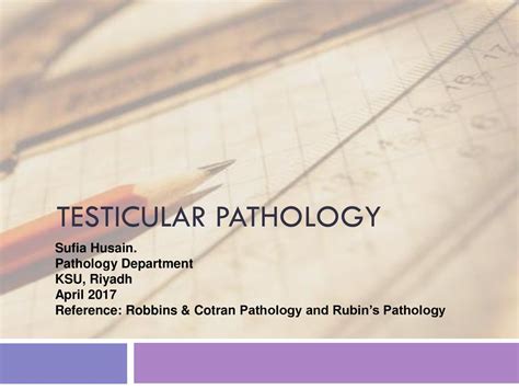 Testicular Pathology Sufia Husain Pathology Department Ksu Riyadh