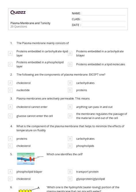 Osmosis And Tonicity Worksheets On Quizizz Free Printable