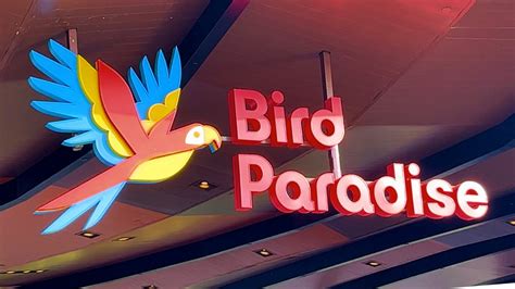 Bird Paradise Mandai Singapore Youtube