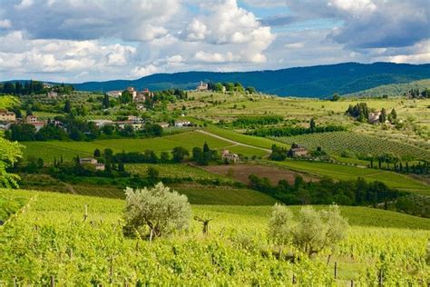 Private Tuscany Day Tour San Gimignano And Chianti Wine Region From