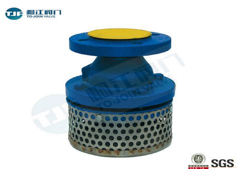 Cast Iron Body Flanged Non Return Foot Valve With Stainless Strainer Pn10 Class