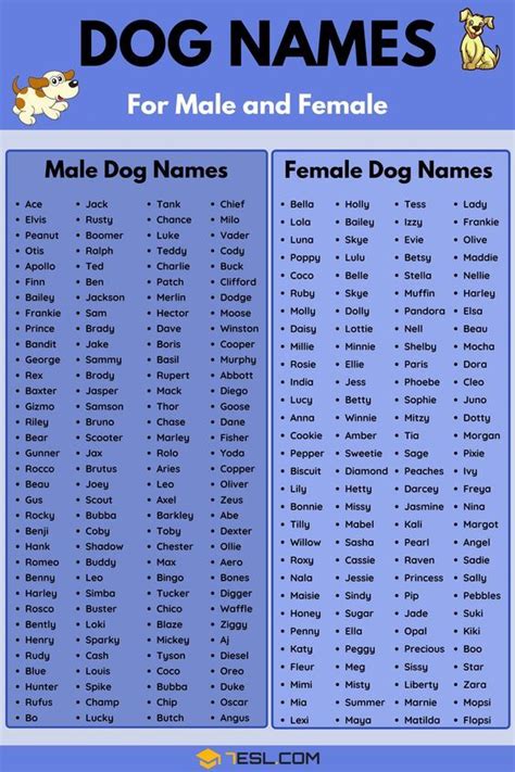 Dog Names: 100 Most Popular Male And Female Dog Names - 7 E S L ...