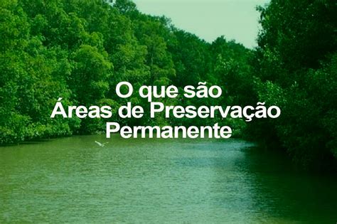 O Que Uma Rea De Preserva O Permanente O Eco