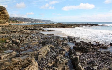 Laguna Beach Tide Pools California Beaches