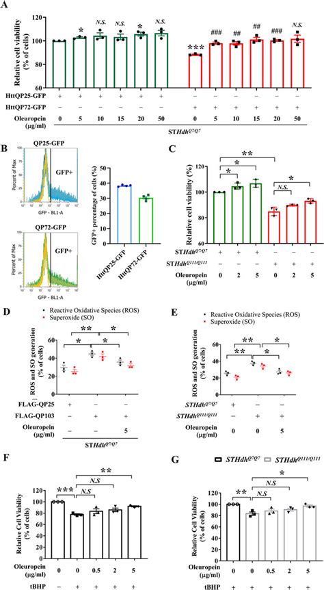 Frontiers Oleuropein Enhances Proteasomal Activity And Reduces Mutant