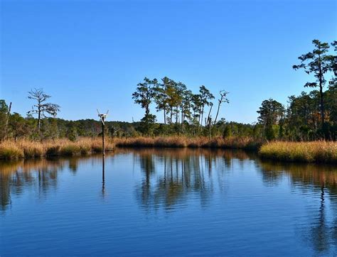 Goose Creek State Park 워싱턴 Goose Creek State Park의 리뷰 트립어드바이저