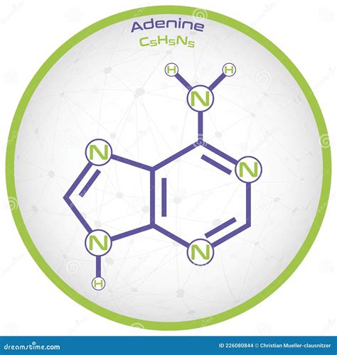 Infographic of the Molecule of Adenine Stock Vector - Illustration of ...