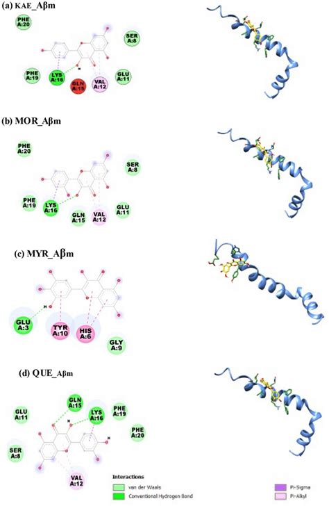 D And D Docked Representation Of Non Covalent Interactions Between A