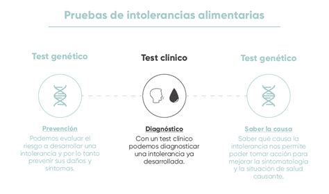 Intolerancias Alimentarias Qu Son Y C Mo Detectarlas Adn Institut