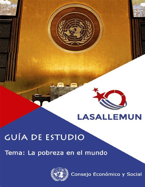 Consejo Económico y Social de las Naciones Unidas ECOSOC